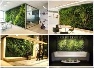 Эко-дизайн и Озеленение помещений в доме 2