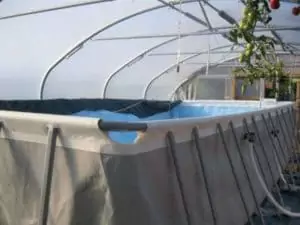 Как сделать крытый бассейн на даче своими руками 3