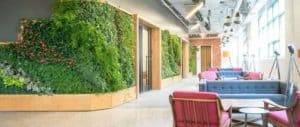 Эко-дизайн и Озеленение помещений в доме: Польза, Виды и Топ 7 лучших растений для дома и офиса - Обзор + Видео