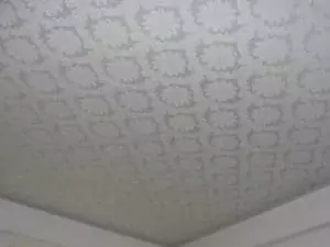 Матовый белый натяжной потолок 2